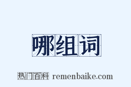 哪组词是什么意思的图片